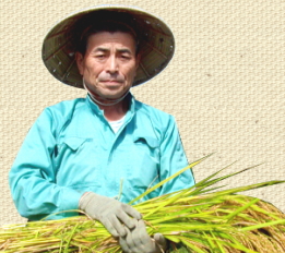 代表 田村清一