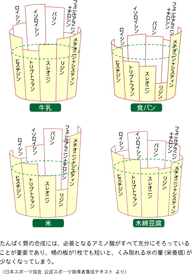 食品中たんぱく質のアミノ酸スコアの模式図