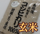 岩船産コシヒカリ 無農薬玄米