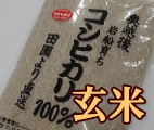 岩船産コシヒカリ 【極上】こだわり米 玄米