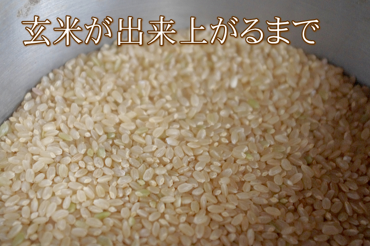 玄米が出来上がるまで