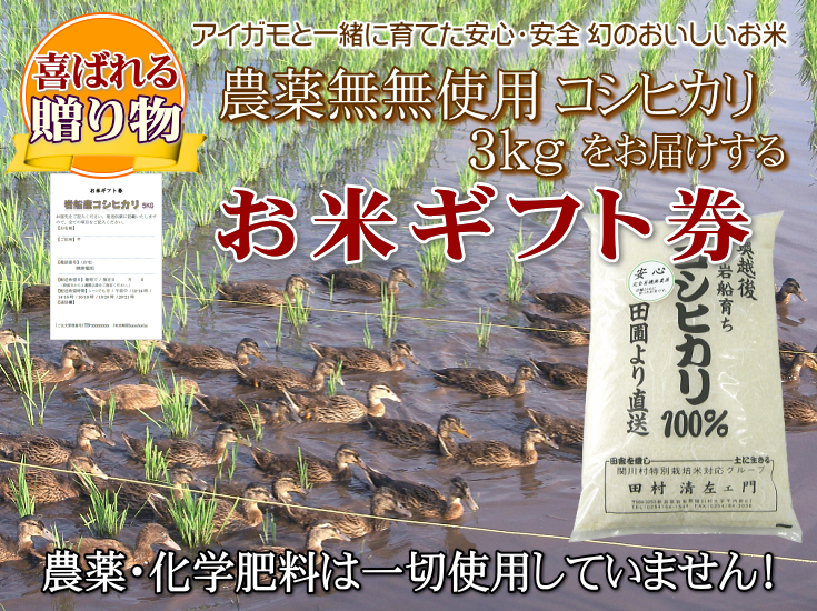 お米ギフト券で届ける新潟岩船産コシヒカリ(無農薬米)3kg
