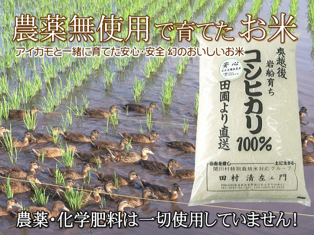 無農薬米なら百姓屋 - 新潟コシヒカリの無農薬玄米（新米）を産直