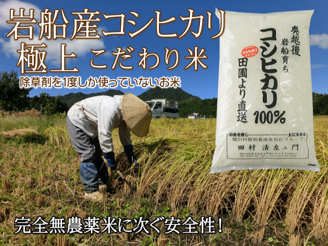 最高級のスーパー 自然栽培 農薬化学肥料不使用 R4年度米 愛媛県産ヒノヒカリ 天日干し米 10k