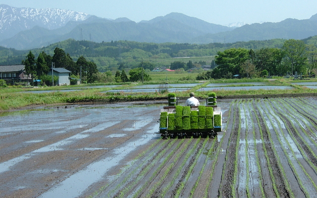 初めてお客様へ