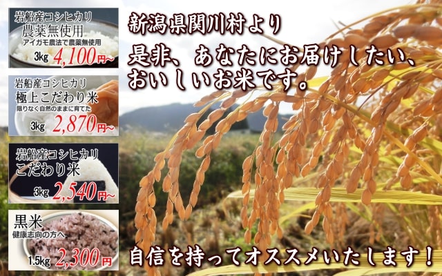 大評判 柴犬様専用 無農薬コシヒカリ玄米20kg 2個口 令和3年 徳島県産