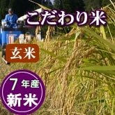 岩船産コシヒカリ こだわり米 玄米