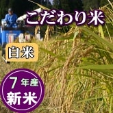 岩船産コシヒカリ こだわり米 白米