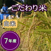 岩船産コシヒカリ こだわり米 白米