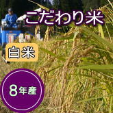 岩船産コシヒカリ こだわり米 白米