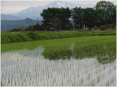 ��D�� ���M��