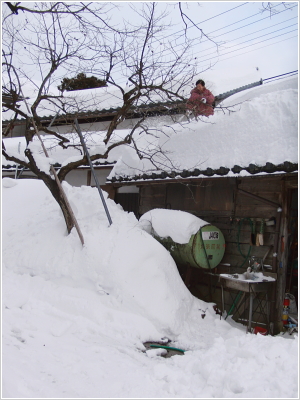 屋根の雪下ろしは３回以上するほどの豪雪地