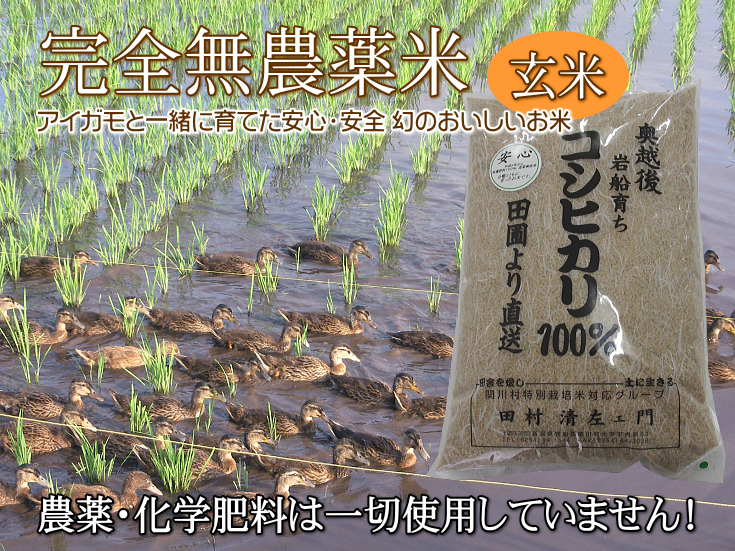 無農薬米なら百姓屋 - 岩船産コシヒカリの無農薬玄米5kg