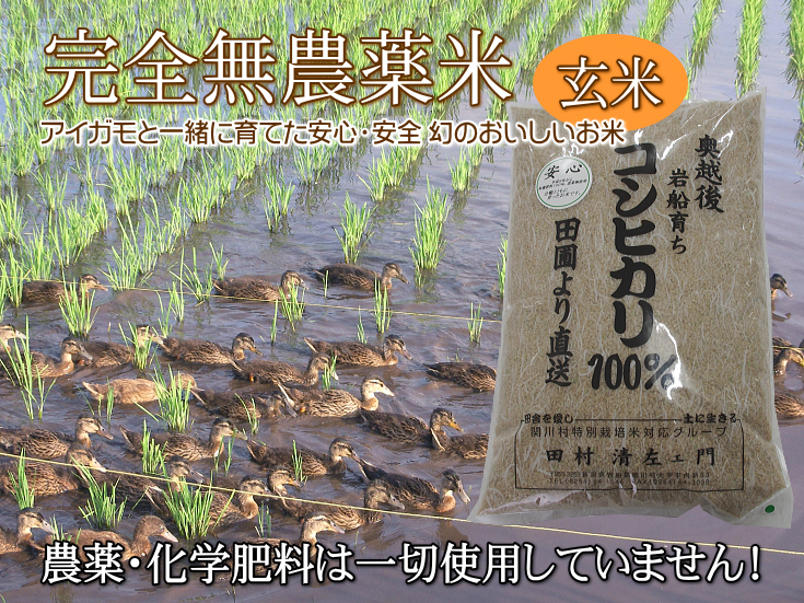 2018年富山県産100%コシヒカリ　ナチュラルファーミング白米９キロ　無農薬