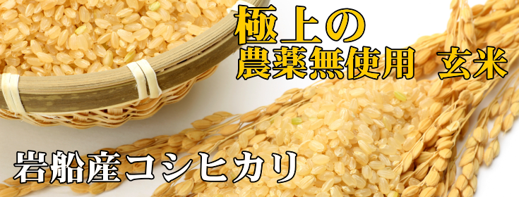 極上の無農薬玄米 岩船産コシヒカリ