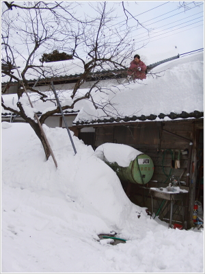 関川村は雪深いところです。