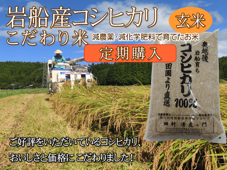 岩船産コシヒカリ こだわり米（玄米）を定期購入