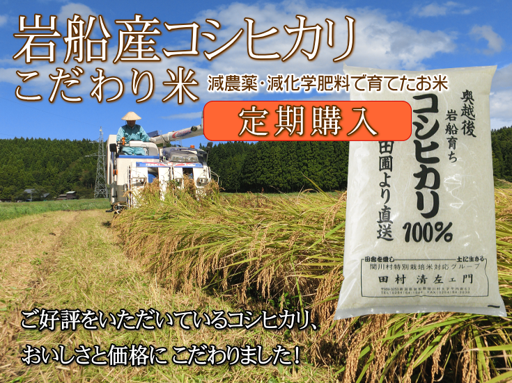 岩船産コシヒカリ こだわり米（白米）を定期購入