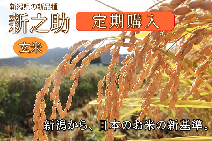 新之助【岩船産】（玄米）を定期購入