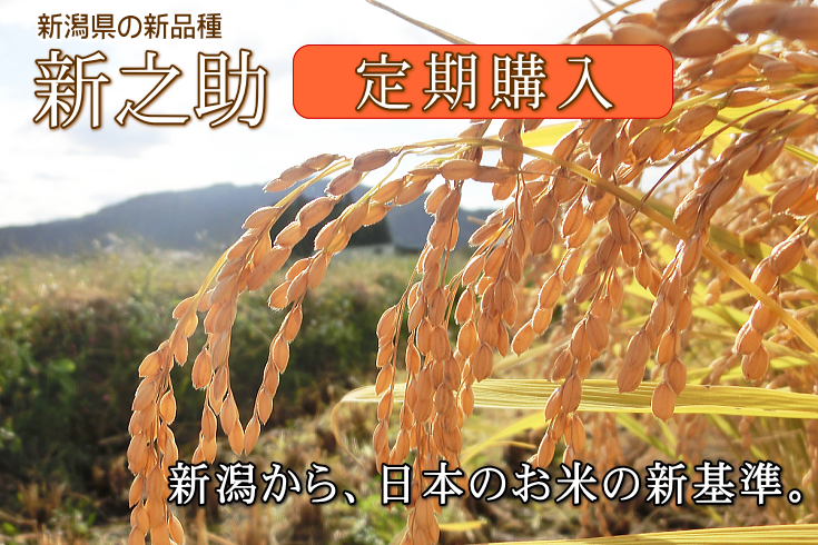 新之助【岩船産】（白米）を定期購入