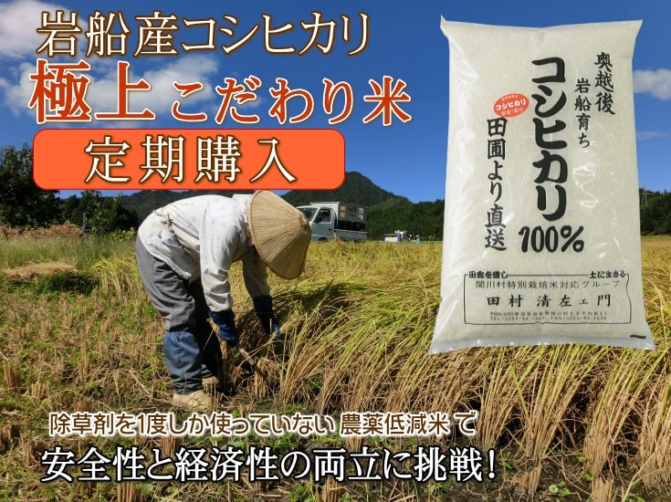 岩船産コシヒカリ【極上】こだわり米(白米)を定期購入