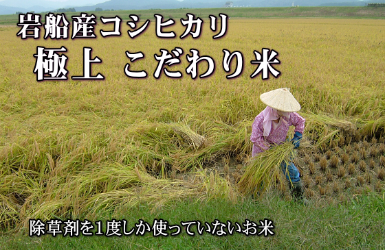 岩船産コシヒカリ 極上 こだわり米