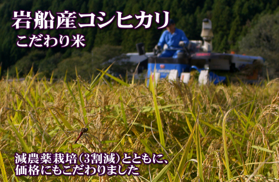岩船産コシヒカリ こだわり米