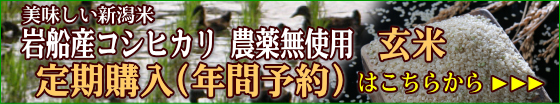 おいしい岩船産コシヒカリ 無農薬玄米 定期購入（年間予約）はこちらから