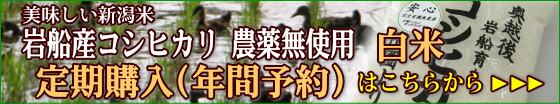 おいしい岩船産コシヒカリ 無農薬米 白米（精米） 定期購入（年間予約）はこちらから