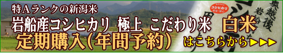 おいしい岩船産コシヒカリ 極上 こだわり米 白米 定期購入（年間予約）はこちらから