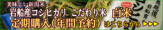 おいしい岩船産コシヒカリ こだわり米 白米 定期購入（年間予約）はこちらから