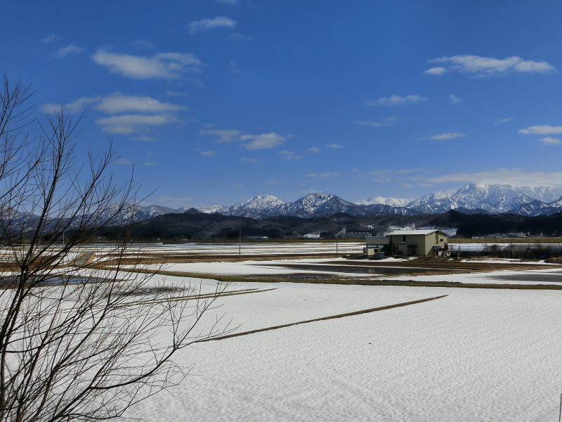 関川村の風景:
冬の田んぼ