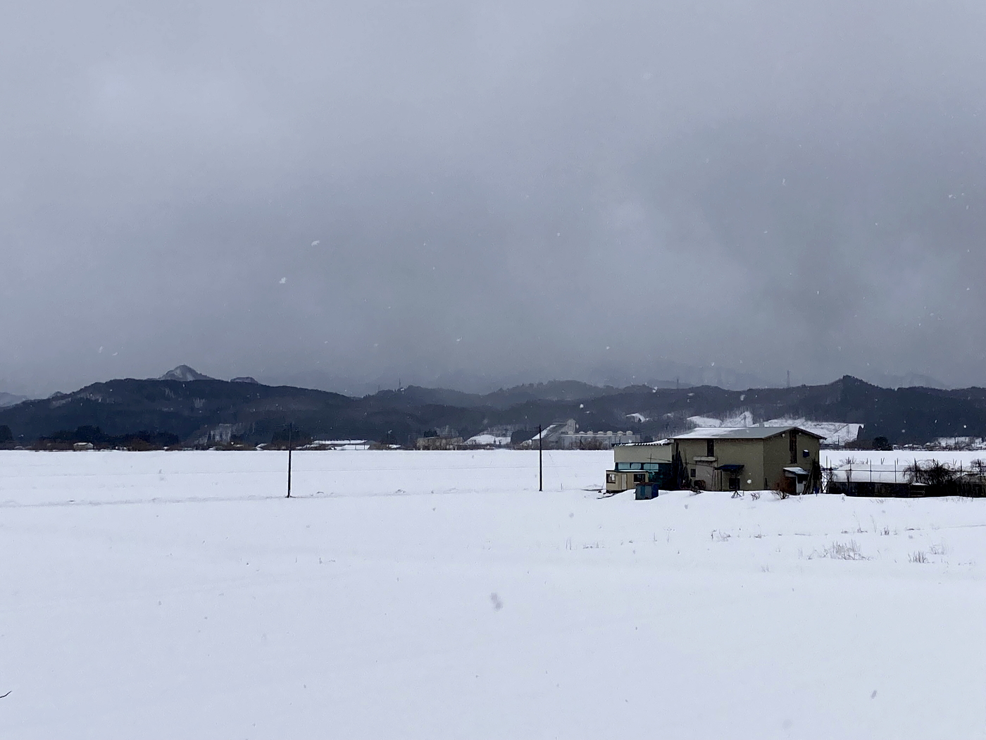 雪の量が少ない年明けとなりました。