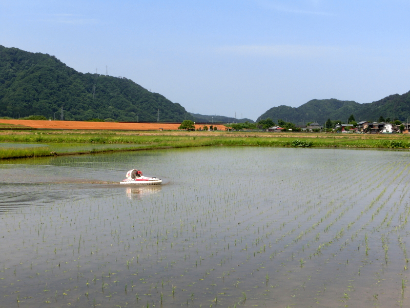 ホバークラフトにて除草作業