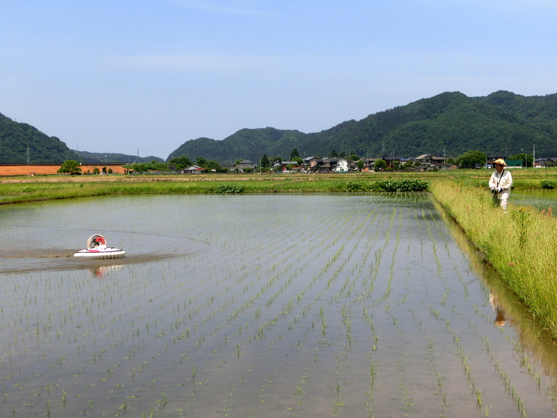 ホバークラフトにて除草作業