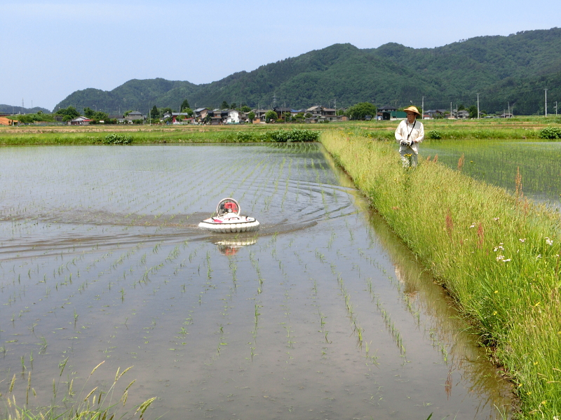 ホバークラフトにて除草作業