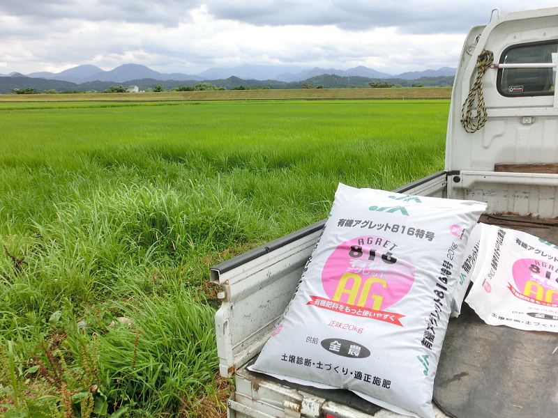 無農薬米 追肥作業 完了しました。