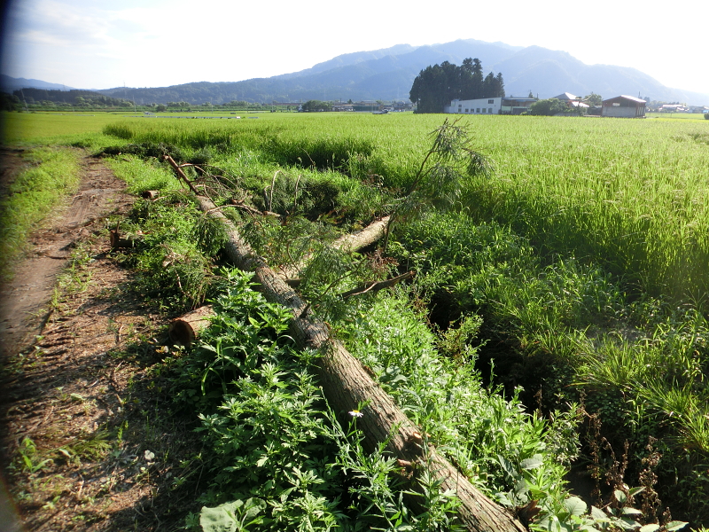 2022年8月 水害状況