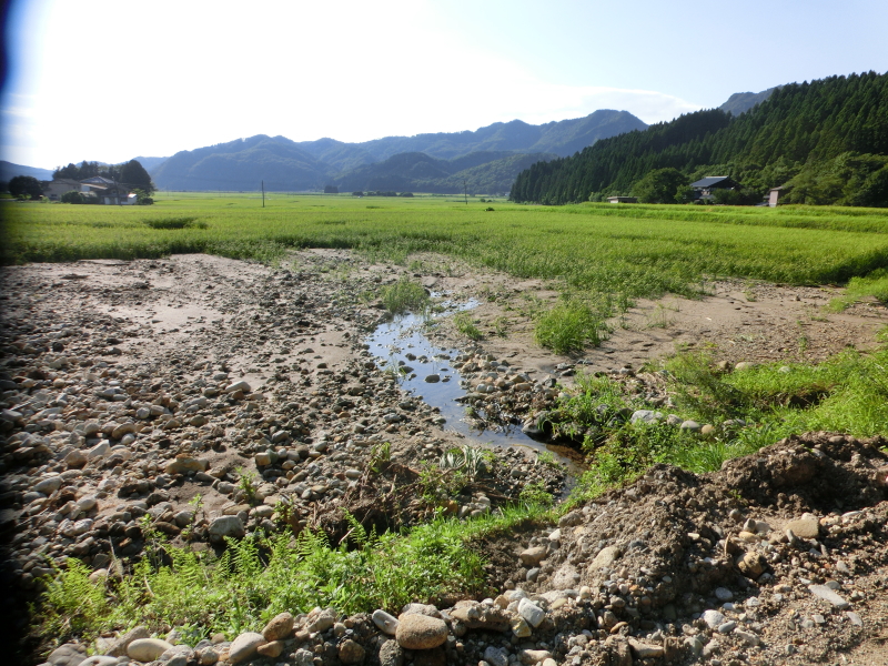 2022年8月 水害状況