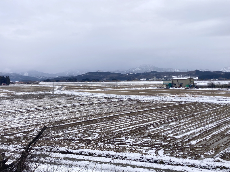 雪が少ない冬でした