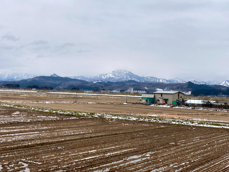 雪が少ない冬でした