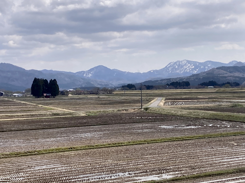 春を迎えております