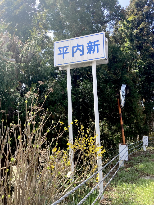 春を迎えております