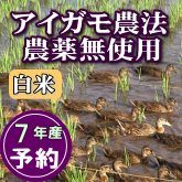 岩船産コシヒカリ 農薬無使用 白米