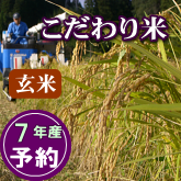 岩船産コシヒカリ こだわり米 玄米