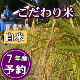 岩船産コシヒカリ こだわり米 白米