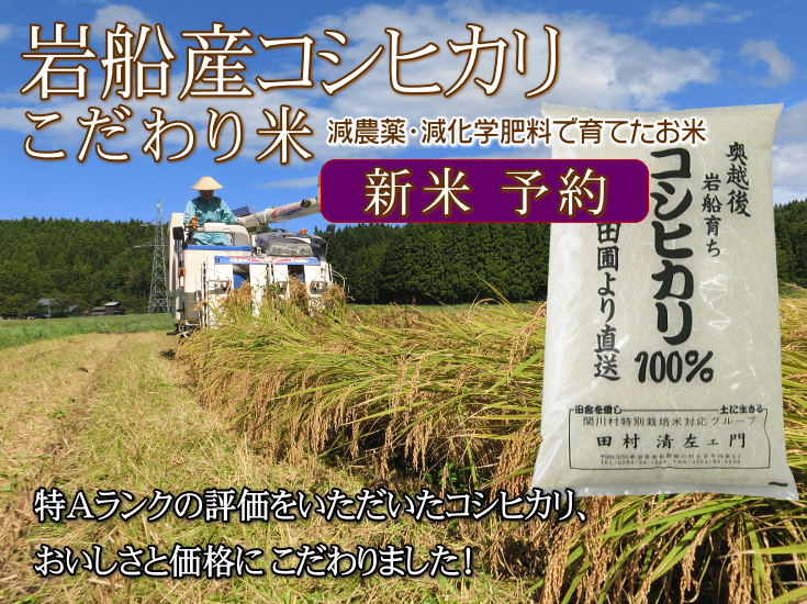 岩船産コシヒカリ こだわり米(白米)新米の予約販売