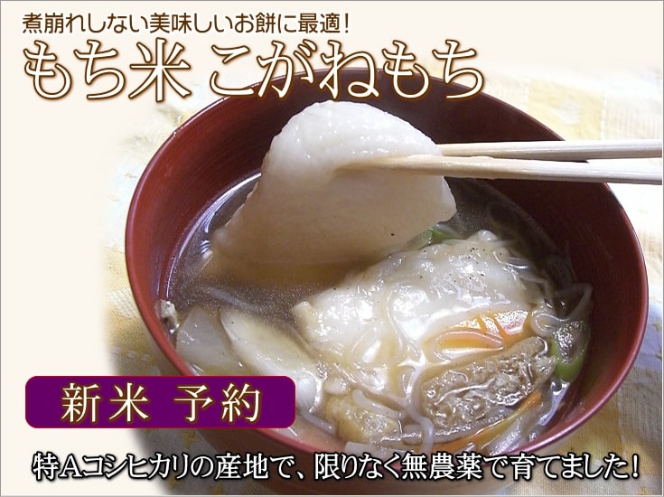 岩船産もち米【こがねもち】（白米）新米の予約販売