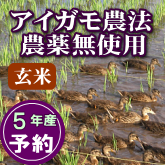 岩船産コシヒカリ 無農薬玄米