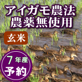 岩船産コシヒカリ 無農薬玄米